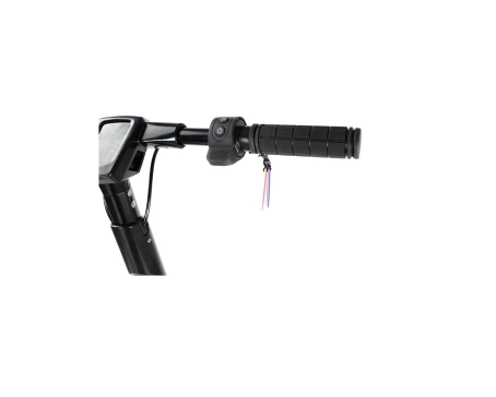 Trottinette électrique Unisexe DUALTRON DOLPHIN 36V 15Ah Noir